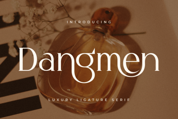 Dangmen Font: A Designer's Perspective on Elegance in Campaigns