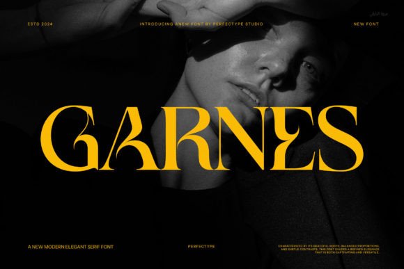 Garnes: A Serif Font That Elevates Handmade Designs