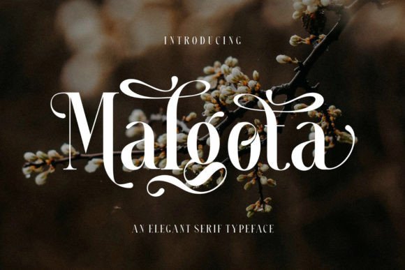 Malgota: A Typeface That Elevates Your Brand’s Design
