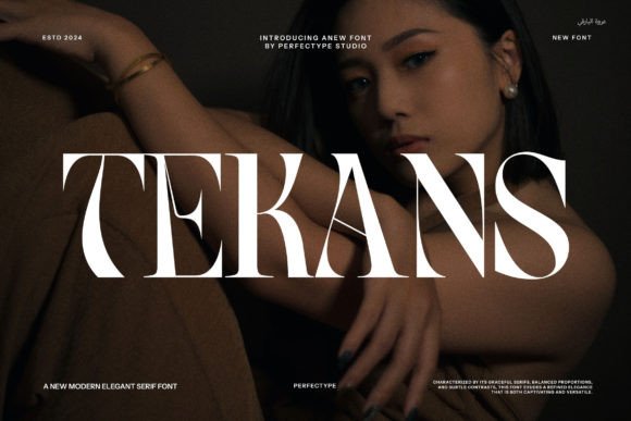 Tekans: A Refined Typeface for Modern Web Design